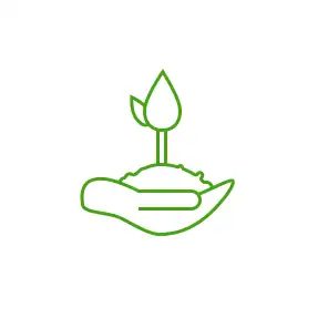 Анализ качества почвы для экологических проектов